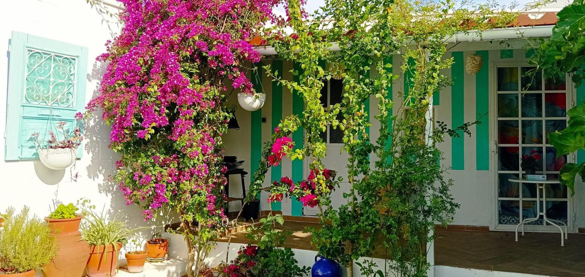 Casa Con Piscina Cerca De Sevilla Carrion de Los Cespedes Exteriér fotografie