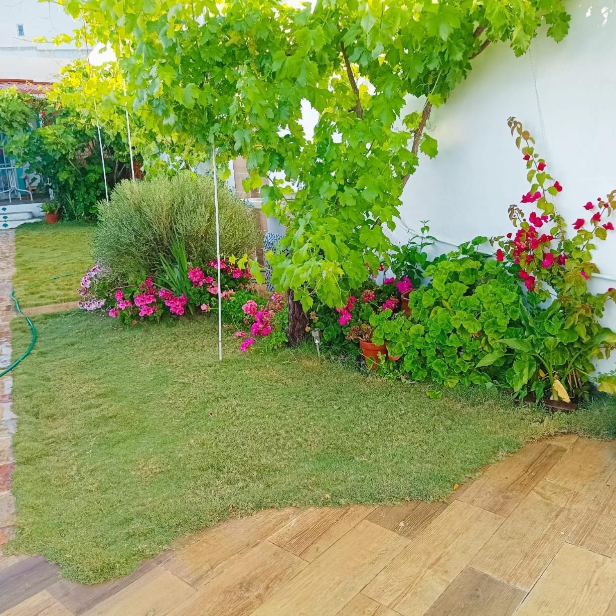 Casa Con Piscina Cerca De Sevilla Carrion de Los Cespedes Exteriér fotografie
