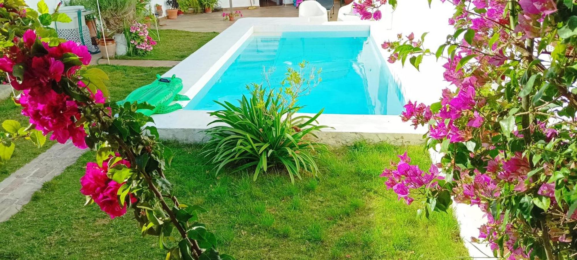 Casa Con Piscina Cerca De Sevilla Carrion de Los Cespedes Exteriér fotografie